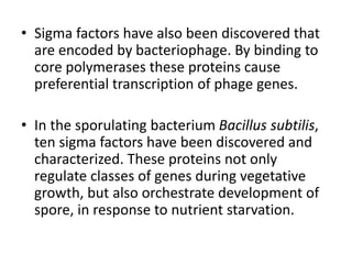 • Sigma factors have also been discovered that
are encoded by bacteriophage. By binding to
core polymerases these proteins cause
preferential transcription of phage genes.
• In the sporulating bacterium Bacillus subtilis,
ten sigma factors have been discovered and
characterized. These proteins not only
regulate classes of genes during vegetative
growth, but also orchestrate development of
spore, in response to nutrient starvation.
 