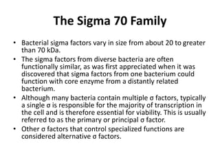The Sigma 70 Family
• Bacterial sigma factors vary in size from about 20 to greater
than 70 kDa.
• The sigma factors from diverse bacteria are often
functionally similar, as was first appreciated when it was
discovered that sigma factors from one bacterium could
function with core enzyme from a distantly related
bacterium.
• Although many bacteria contain multiple σ factors, typically
a single σ is responsible for the majority of transcription in
the cell and is therefore essential for viability. This is usually
referred to as the primary or principal σ factor.
• Other σ factors that control specialized functions are
considered alternative σ factors.
 