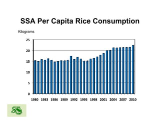 Global rice suppy_demand_outlook
