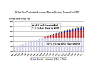 Global rice suppy_demand_outlook