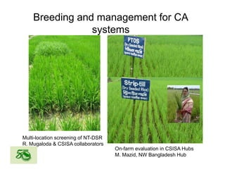 Global rice suppy_demand_outlook