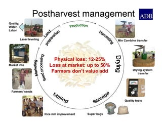 Global rice suppy_demand_outlook