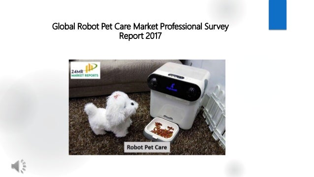 pet care robot