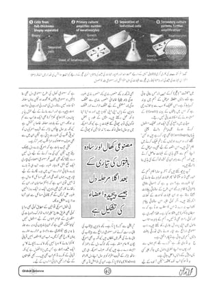 Globalscience january-1998