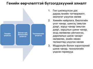 Генийн өөрчлөлттэй бүтээгдэхүүний хяналт Ген шилжүүлсэн дэс дараа,генийн тогтворжилт, экологит үзүүлэх нөлөө Химийн найрлага, биологийн үнэт чанар, шингэц \амьтан дээр\, хоруу чанар \амьтан дээр\, харшлын шинж чанар, эсэд нөлөөлөх үйлчилгээ, дархлалын шинж чанарт нөлөөлөх, эсийн нөхөн төлжилтөд үзүүлэх нөлөө Мэдрэхүйн болон хэрэглээний шинж чанар, технологийн үндсэн горимууд 