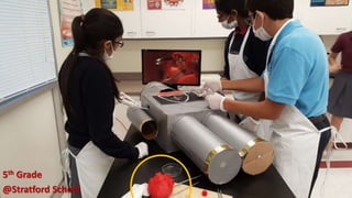 5th Grade
@Stratford School
 