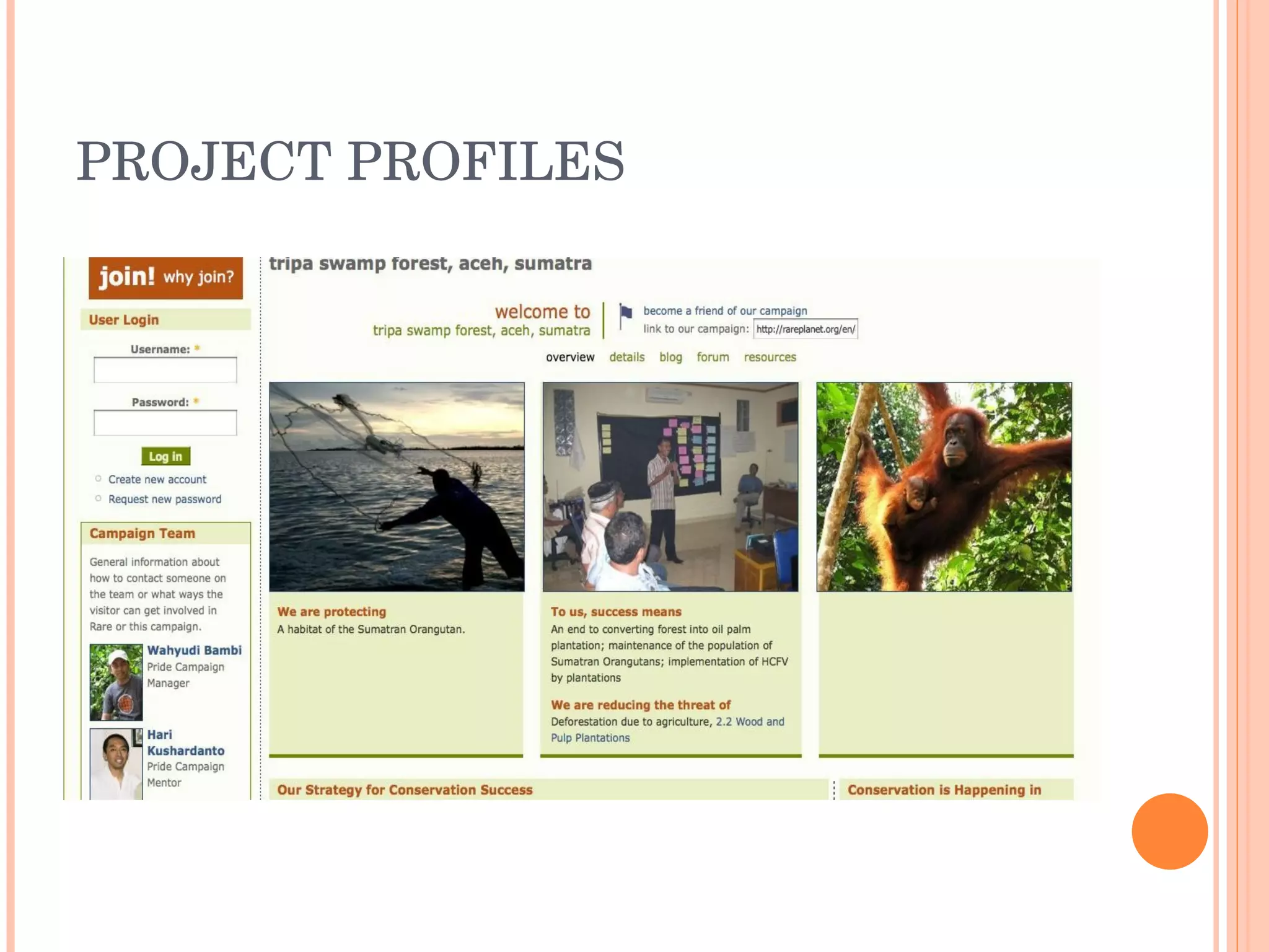 PROJECT PROFILES 