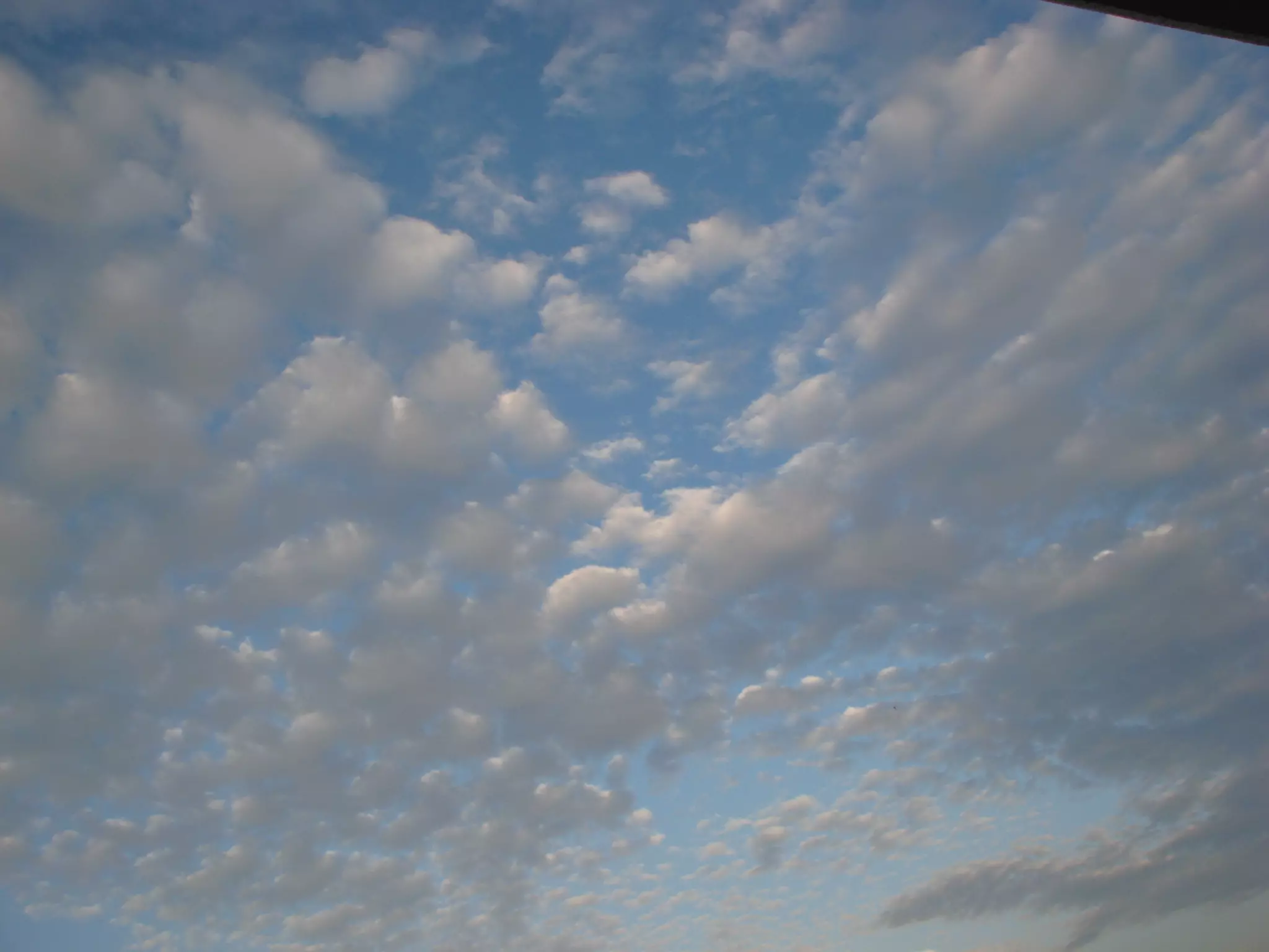 COMMUNITY DEVELOPMENT 