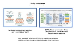 FAO’s LIVESTOCK SECTOR INVESTMENT
AND POLICY TOOLKIT (LSIPT)
CGIAR’s Actions for innovative climate
change mitigation and adaptation of
livestock systems (ANIMALS)
Public investment in the livestock sector to give decision-makers the
evidence they need to make strategic choices and attract investment.
Public investment
 
