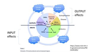 https://www.ncbi.nlm.n
ih.gov/pmc/articles/PM
C6395385/
INPUT
effects
OUTPUT
effects
Grassland
Antibiotics
Eutrophication
Disease
 