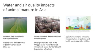 Water and air quality impacts
of animal manure in Asia
Increased toxic algal blooms
due to phosphorous
In 1998, killed 80% of the fish
in 100 km2 zone in South
China Sea
Nitrate in drinking water leaked from
manure lagoons.
1/3 of groundwater wells in the
Philippines and Thailand showed
nitrate levels above the World Health
Organization safety limit
Agricultural ammonia emissions
increased urban air pollution and
health harming particles in China
 