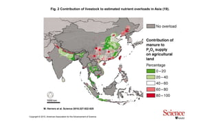 Fig. 2 Contribution of livestock to estimated nutrient overloads in Asia (19).
M. Herrero et al. Science 2010;327:822-825
Copyright © 2010, American Association for the Advancement of Science
 