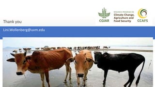 Global sustainable livestock investment overview