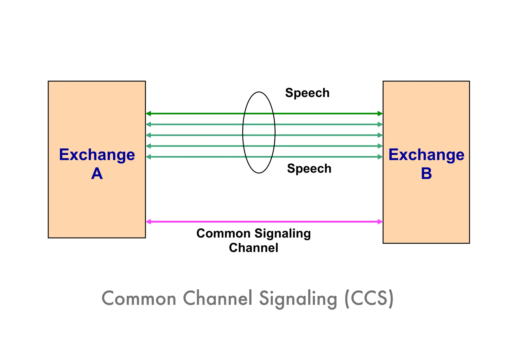 Exchange
A
Exchange
B
Speech
Speech
Common Signaling
Channel
Common Channel Signaling (CCS)
 