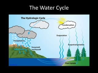 The Water Cycle
www.state.nj.us
 