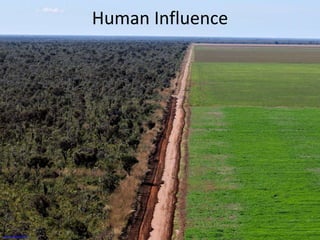 Human Influence
www.wwf.org.br
 