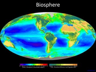 Biosphere
en.wikipedia.org
 