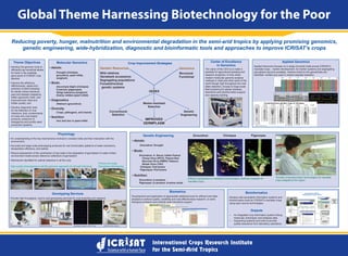 Global Theme Harnessing Biotechnology for the Poor
 