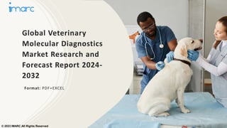 Global Veterinary
Molecular Diagnostics
Market Research and
Forecast Report 2024-
2032
Format: PDF+EXCEL
© 2023 IMARC All Rights Reserved
 
