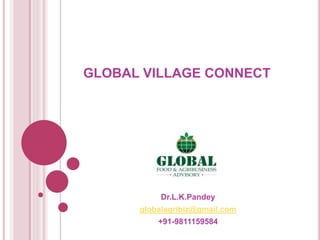 GLOBAL VILLAGE CONNECT
Dr.L.K.Pandey
globalagribiz@gmail.com
+91-9811159584
 