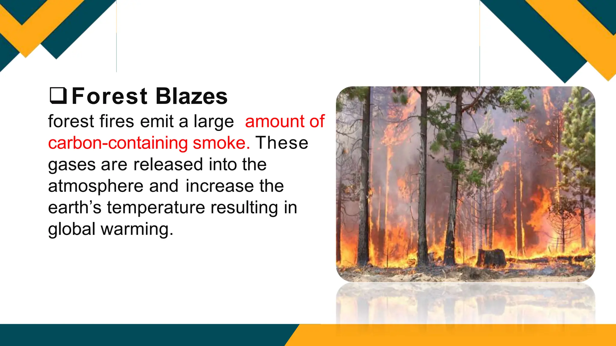 Forest Blazes
forest fires emit a large amount of
carbon-containing smoke. These
gases are released into the
atmosphere and increase the
earth’s temperature resulting in
global warming.
 