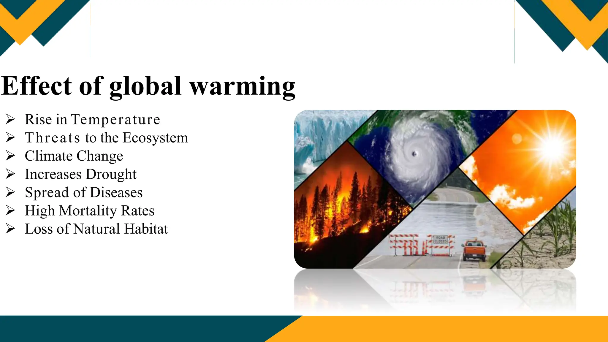 Effect of global warming
 Rise in Temperature
 Threats to the Ecosystem
 Climate Change
 Increases Drought
 Spread of Diseases
 High Mortality Rates
 Loss of Natural Habitat
 