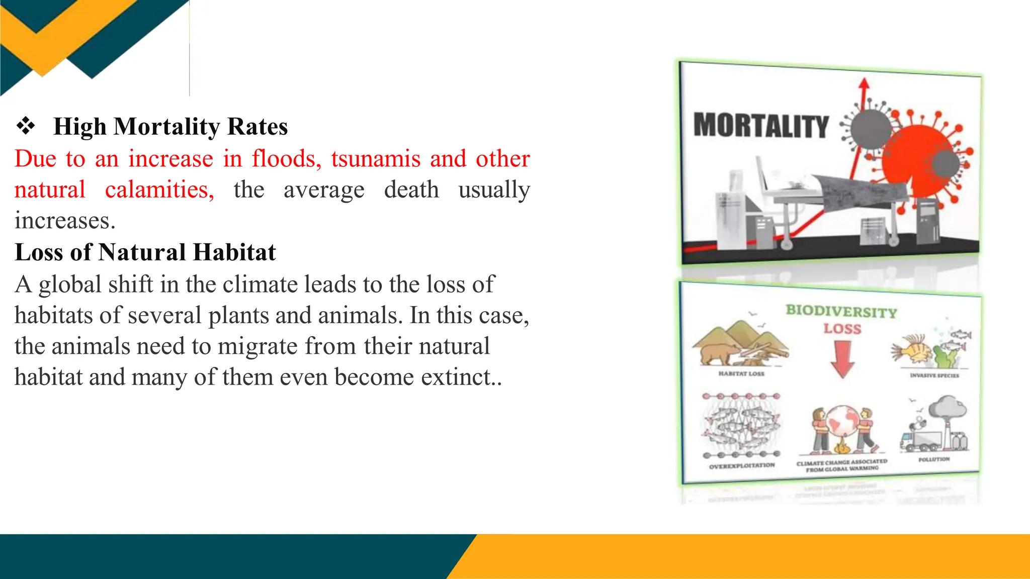  High Mortality Rates
Due to an increase in floods, tsunamis and other
natural calamities, the average death usually
increases.
Loss of Natural Habitat
A global shift in the climate leads to the loss of
habitats of several plants and animals. In this case,
the animals need to migrate from their natural
habitat and many of them even become extinct..
 