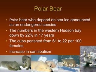 Increase in frequent volcanic eruptions due to rise in temperatures