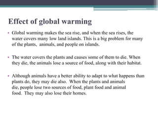 Effect of global warming
• Global warming makes the sea rise, and when the sea rises, the
  water covers many low land islands. This is a big problem for many
  of the plants, animals, and people on islands.

• The water covers the plants and causes some of them to die. When
  they die, the animals lose a source of food, along with their habitat.

• Although animals have a better ability to adapt to what happens than
  plants do, they may die also. When the plants and animals
  die, people lose two sources of food, plant food and animal
  food. They may also lose their homes.
 