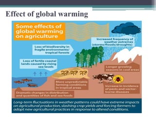 Effect of global warming
 