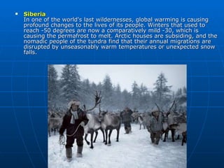 Siberia In one of the world's last wildernesses, global warming is causing profound changes to the lives of its people. Winters that used to reach -50 degrees are now a comparatively mild -30, which is causing the permafrost to melt. Arctic houses are subsiding, and the nomadic people of the tundra find that their annual migrations are disrupted by unseasonably warm temperatures or unexpected snow falls.  