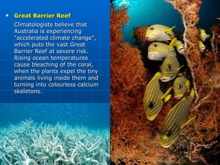 Great Barrier Reef Climatologists believe that Australia is experiencing "accelerated climate change", which puts the vast Great Barrier Reef at severe risk. Rising ocean temperatures cause bleaching of the coral, when the plants expel the tiny animals living inside them and turning into colourless calcium skeletons.  
