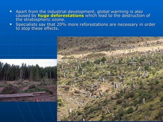 Apart from the industrial development, global warming is also caused by  huge deforestations  which lead to the destruction of the stratospheric ozone. Specialists say that 20% more reforestations are necessary in order to stop these effects. 