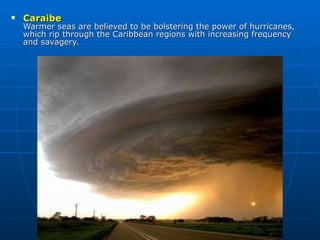 Caraibe Warmer seas are believed to be bolstering the power of hurricanes, which rip through the Caribbean regions with increasing frequency and savagery.  