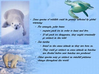 • Some species of wildlife could be greatly affected by global
  warming
    • For example, polar bears
        • require pack ice in order to hunt and live.
        • If all pack ice disappears, they might eventually
          go extinct in the wild.
    • Sea turtles
        • breed on the same islands as they are born on.
        • They could go extinct on some islands as beaches
          are flooded before new beaches are produced.
    • Other species may go extinct as rainfall patterns
      change throughout the world.
 