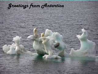 Greetings from Antartica
 
