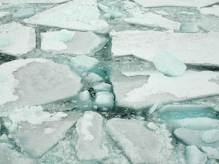• As the ice melts, big chunks of glaciers
  will break off and become like ice cubes
       in a big glass of water. The ice
  chunks, known as icebergs, create mass
   in the ocean. The icebergs displace the
    water causing the ocean level to rise.
    Some of the shoreline in many places
  like Florida (where the land is at a low
        altitude) will go under water.
 