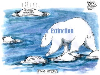 Polar Bear Extinction 