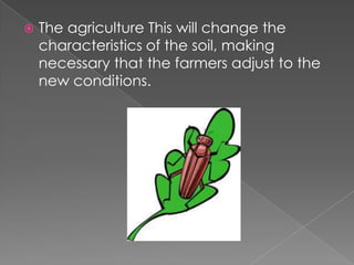  The agriculture This will change the
characteristics of the soil, making
necessary that the farmers adjust to the
new conditions.
 