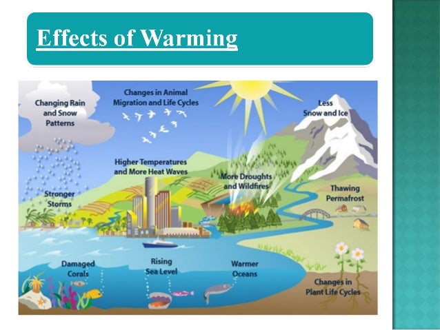 Example cause and effect essay