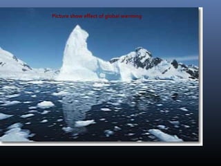 Picture show effect of global warming

 