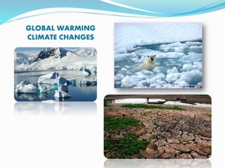 GLOBAL WARMING
CLIMATE CHANGES
 