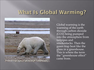 Global warming is the
warming of the earth
through carbon dioxide
(CO2) being pumped
into the atmosphere from
tailpipes and
smokestacks. Then the
gases trap heat like the
glass in a greenhouse.
This is where the term
the “greenhouse effect”
came from.
 