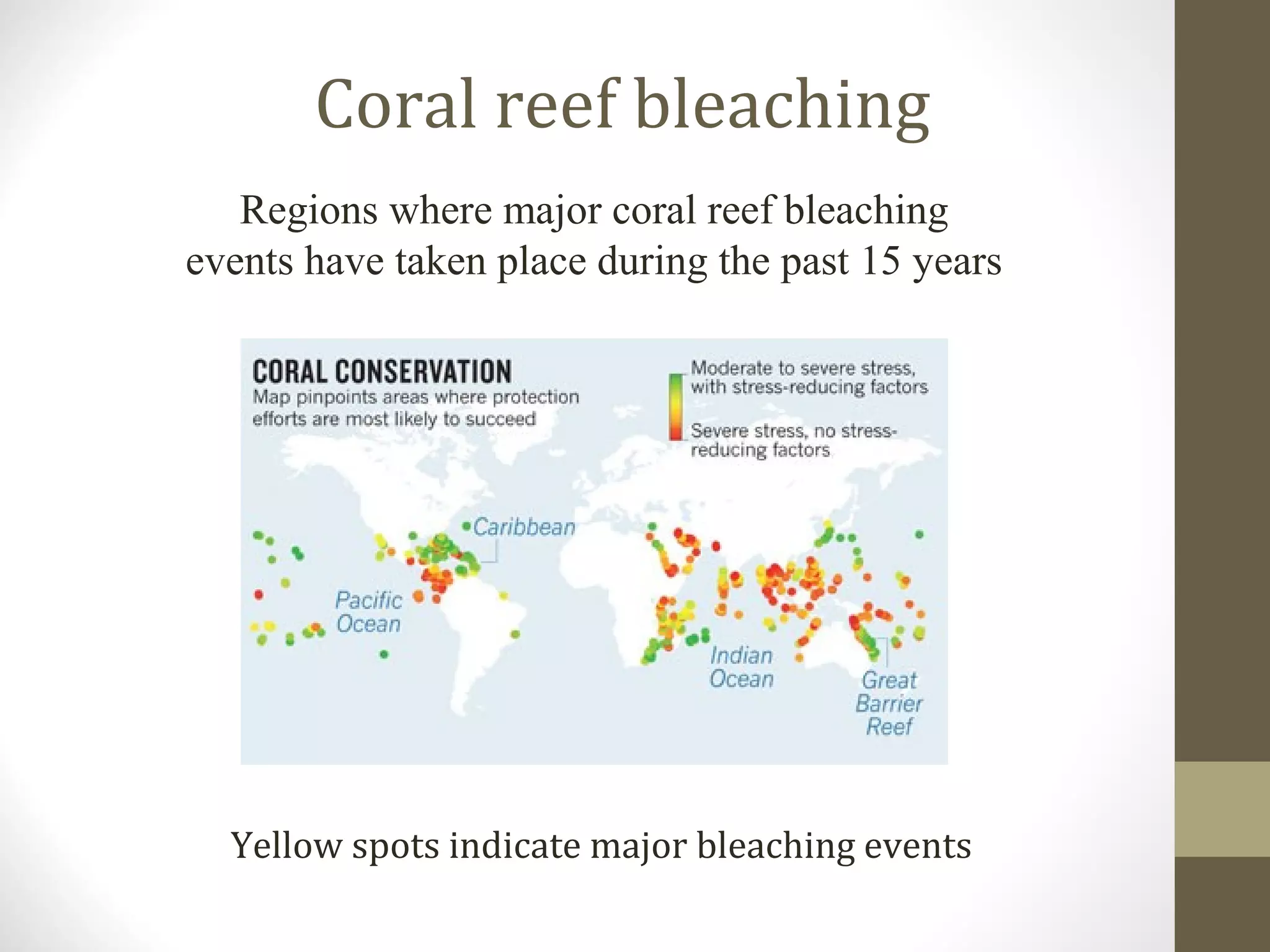 Coral reef bleaching
Yellow spots indicate major bleaching events
Regions where major coral reef bleaching
events have taken place during the past 15 years
 