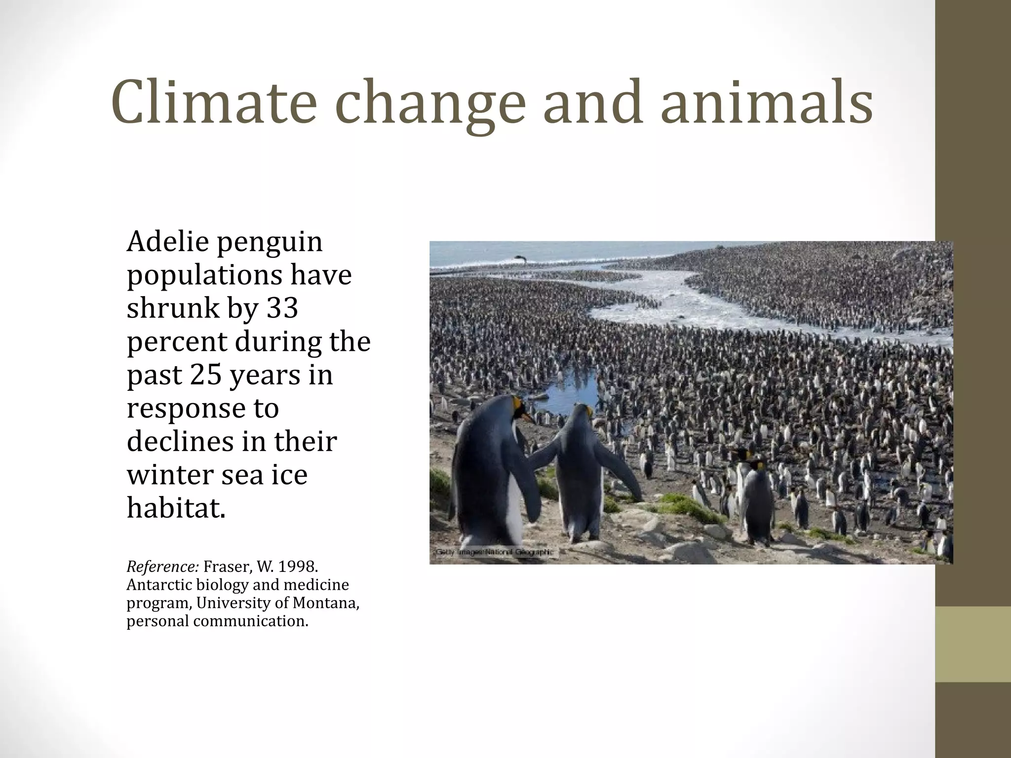 Climate change and animals
Adelie penguin
populations have
shrunk by 33
percent during the
past 25 years in
response to
declines in their
winter sea ice
habitat.
Reference: Fraser, W. 1998.
Antarctic biology and medicine
program, University of Montana,
personal communication.
 