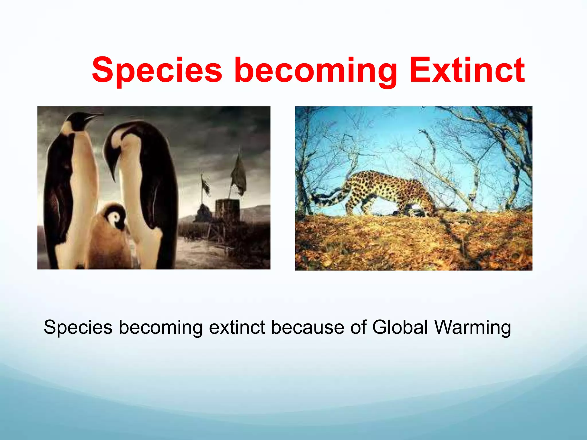 Species becoming Extinct
Species becoming extinct because of Global Warming
 