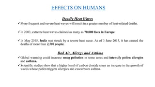 EFFECTS ON HUMANS
Deadly Heat Waves
More frequent and severe heat waves will result in a greater number of heat-related deaths.
In 2003, extreme heat waves claimed as many as 70,000 lives in Europe.
In May 2015, India was struck by a severe heat wave. As of 3 June 2015, it has caused the
deaths of more than 2,500 people.
Bad Air, Allergy and Asthma
Global warming could increase smog pollution in some areas and intensify pollen allergies
and asthma.
Scientific studies show that a higher level of carbon dioxide spurs an increase in the growth of
weeds whose pollen triggers allergies and exacerbates asthma.
 