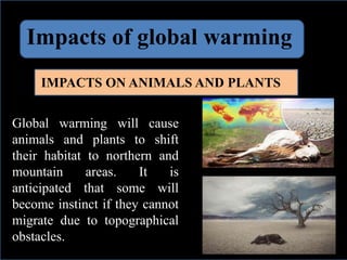 Impacts of global warming
IMPACTS ON ANIMALS AND PLANTS
Global warming will cause
animals and plants to shift
their habitat to northern and
mountain areas. It is
anticipated that some will
become instinct if they cannot
migrate due to topographical
obstacles.
 