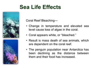 Sea Life Effects
Coral Reef Bleaching—
 Change in temperature and elevated sea
level cause loss of algae in the coral.
 Coral appears white, or “bleached.”
 Result is mass death of sea animals, which
are dependent on the coral reef.
 The penguin population near Antarctica has
been declining as the distance between
them and their food has increased.
 