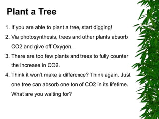 1. If you are able to plant a tree, start digging!
2. Via photosynthesis, trees and other plants absorb
CO2 and give off Oxygen.
3. There are too few plants and trees to fully counter
the increase in CO2.
4. Think it won’t make a difference? Think again. Just
one tree can absorb one ton of CO2 in its lifetime.
What are you waiting for?
Plant a Tree
 